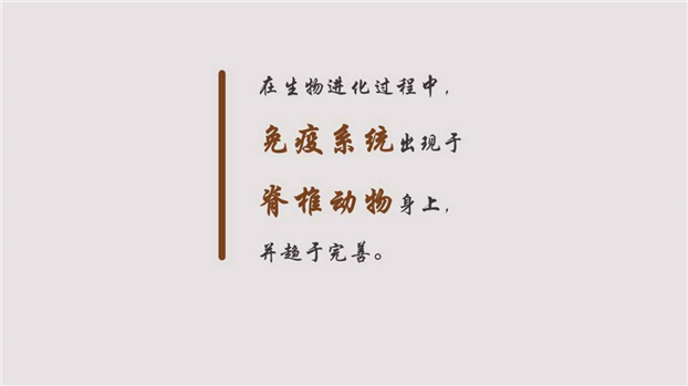 from clipboard